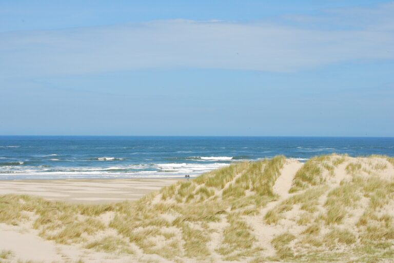 nederlandse duinen